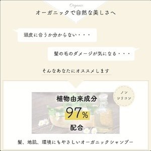 画像8: Elite Style(エリートスタイル) アミノシャンプー【店販用】