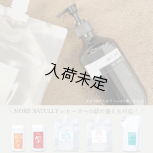 画像2: 詰替ディスペンサーボトル 500ml