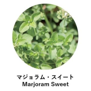 画像2:  ANIMA naturae（アニマ ナチュラエ） マジョラム・スイート（店販・業務両用）10ml