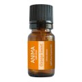 ANIMA naturae（アニマ ナチュラエ） オレンジ・スイート（店販・業務両用）10ml