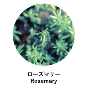 画像2:  ANIMA naturae（アニマ ナチュラエ） ローズマリー（店販・業務両用）10ml