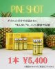 【脂肪溶解美容液】PINESHOT（パインショット）（業務用）10ml×1本