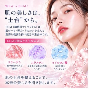 画像2: ECM Booster Pro