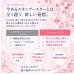 画像3: ECM Booster Pro (3)