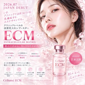 画像1: ECM Booster Pro