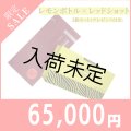  【限定セール】LEMON BOTTLE（レモンボトル）＆RED SHOT(レッドショット)（業務用）10ml×5本　セット＋プレゼント付き