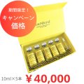 【脂肪分解剤】 LEMON BOTTLE（レモンボトル）Aソリューション【期間限定価格】（業務用）10ml×5本