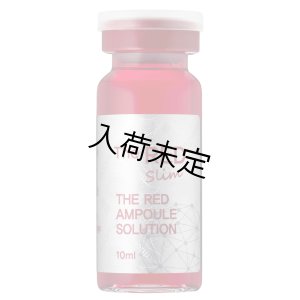 画像4:  【限定セール】LEMON BOTTLE（レモンボトル）＆RED SHOT(レッドショット)（業務用）10ml×5本　セット＋プレゼント付き