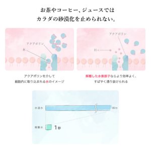 画像4: プラズマ解離水 500ml【1箱：24本入り】