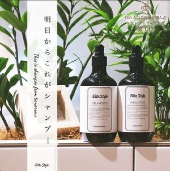 画像5: Elite Style(エリートスタイル) アミノシャンプー【店販用】 (5)