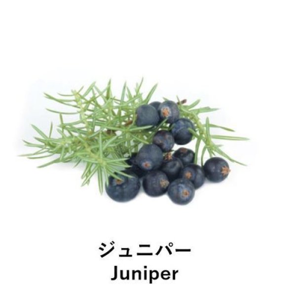 画像2:  ANIMA naturae(アニマ ナチュラエ) ジュニパー(店販・業務両用)10ml (2)