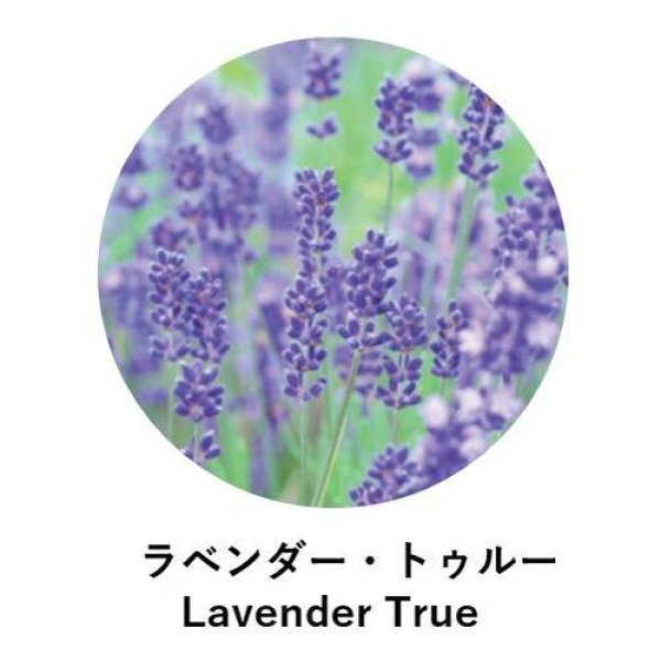 画像2:  ANIMA naturae(アニマ ナチュラエ) ラベンダー・トゥルー(店販・業務両用)10ml (2)
