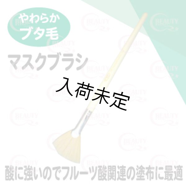 画像1: マスクブラシ（業務用） (1)