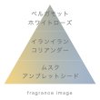 画像5: 生活の木　pucarito クリスタルディフューザー tayutau (5)