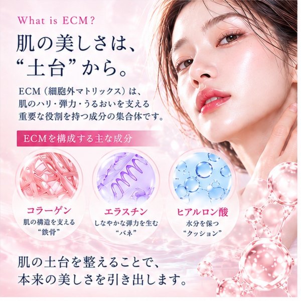 画像2: ECM Booster Pro (2)