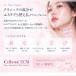 画像5: ECM Booster Pro (5)