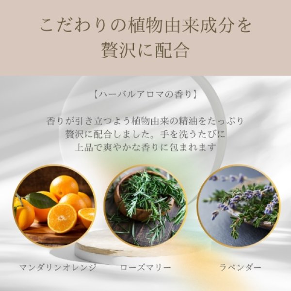 画像2: Elite Style(エリートスタイル) ハンドウォッシュ【1サロン様1回のみ】 (2)