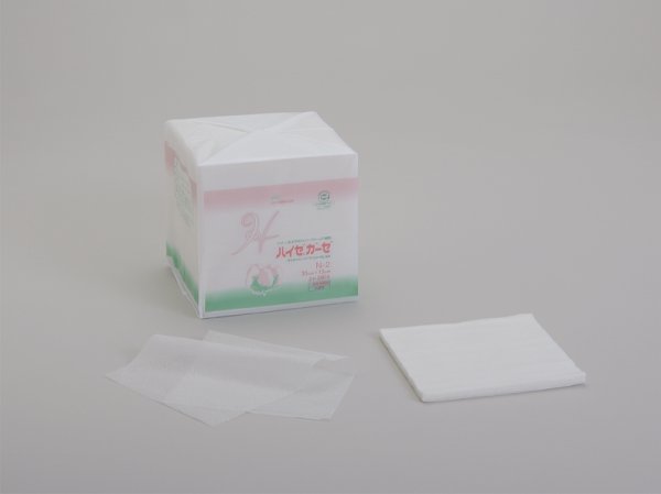 画像2: ハイゼガーゼ N-2(2折り、280枚) (2)