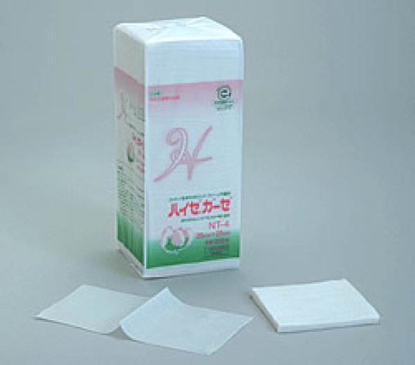 画像2: ハイゼガーゼ NT-4(4折り、300枚) (2)