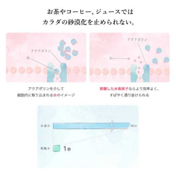 画像4: プラズマ解離水 500ml【1箱：24本入り】 (4)